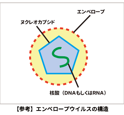 エンベロープウイルス